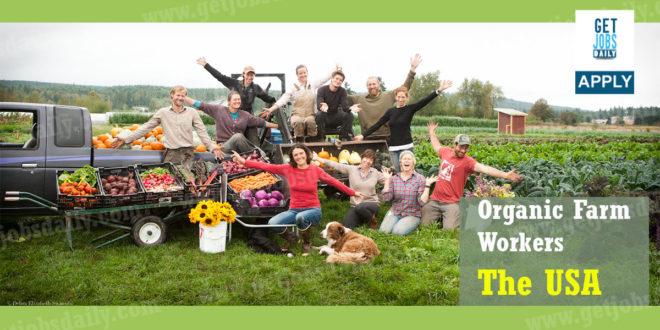 Organic farm jobs asheville nc