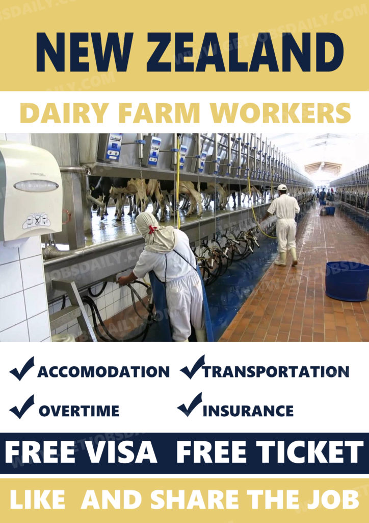 jobs for me zealand dairy farm