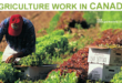 Canada workers