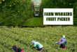 farm workers in Canada