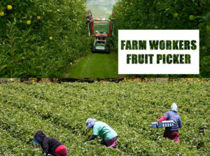 farm workers in Canada