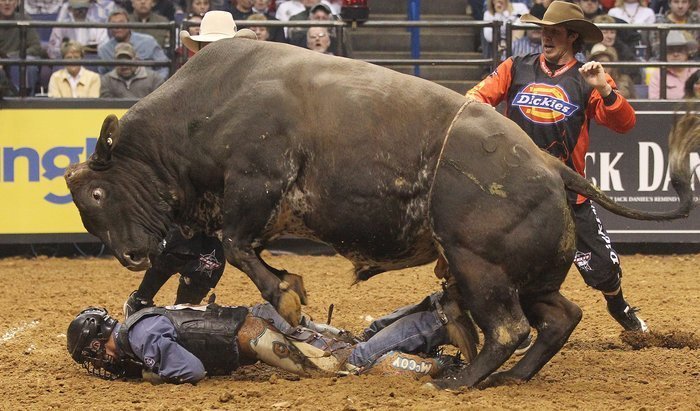 bullrider job