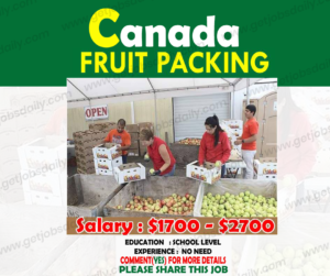 Fruits Packer jobs in CANADA | Apply now