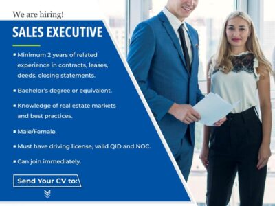 SALES EXECUTIVE