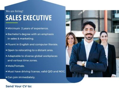 SALES EXECUTIVE